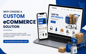 Custom-eCommerce-Solution