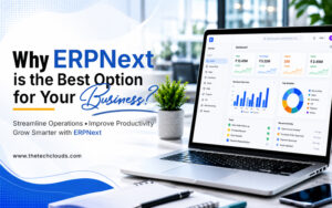 erpnext solution provider
