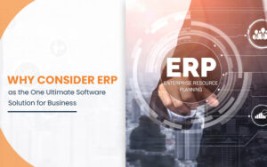 erpnext service provider