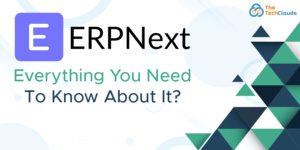 ErpNext Solutions