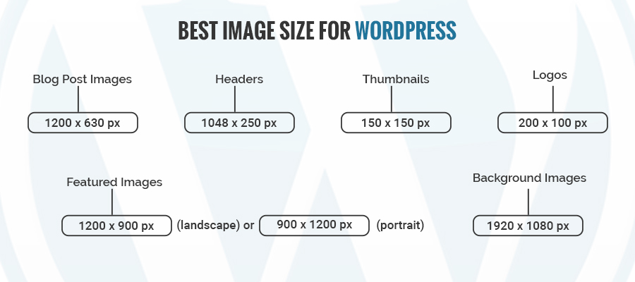 Best-Image-Size for-WordPress
