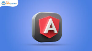 hire-angular-js-developer