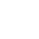 Business-Specific Custom Solutions