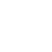 Platform Customization and Extension