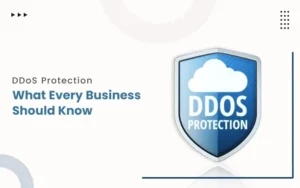DDoS Attack