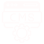 CMS Development